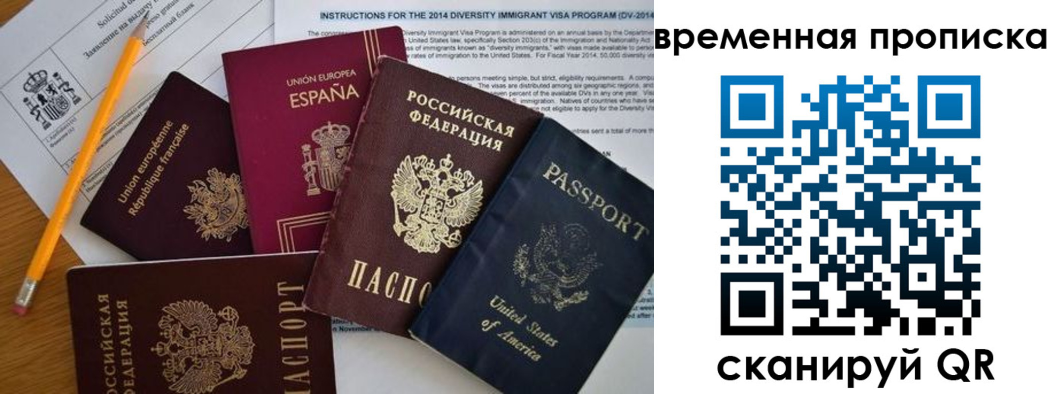 прописка законно в Борзе